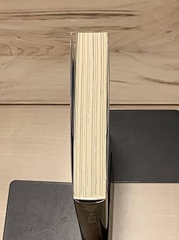 Amazon.co.jp: 絶版希少初版帯付中島望 十四歳、ルシフェル 林田